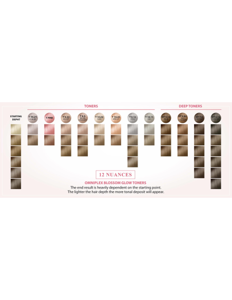 Tonējošā matu krāsa Omniplex Blossom Glow 9.82 100ml