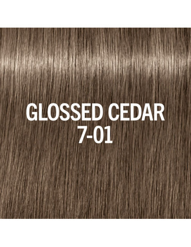 BLONDME Glow Toner 7-01 Glansig...
