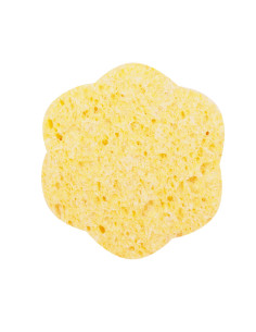 Svamp, cellulosa, blomma,...