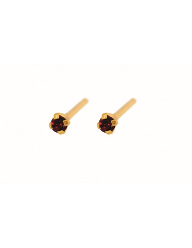 Fashion Sense Earrings G/P 2MM GARNET TIF pair