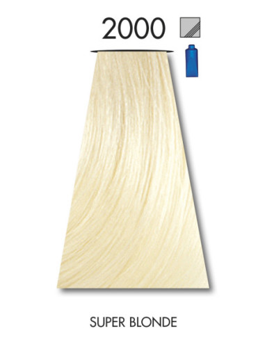 FÄRG 2000 BLÄCK 60 ml