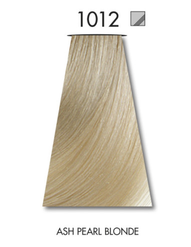 FÄRGBLÄCK 1012 60ml