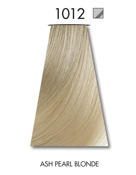 FÄRGBLÄCK 1012 60ml