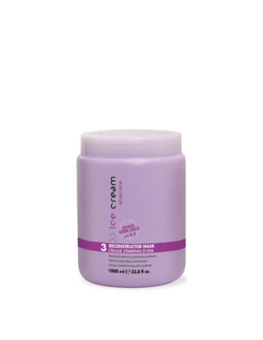 Inebrya Ice Cream SheCare Reconstructor Mask 1000ml