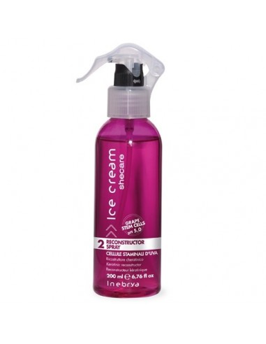 Inebrya Ice Cream SheCare Reconstructor Spray 200ml