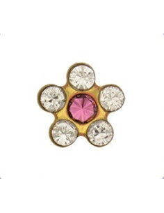 Örhängen Blommor kristall,...