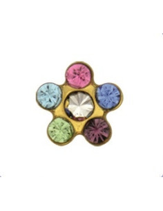 Örhängen Blommor regnbåge,...