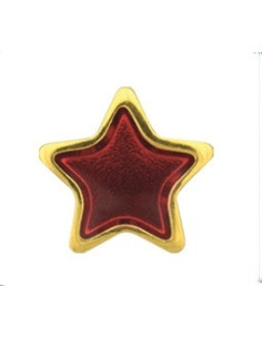 Örhängen stjärnor...