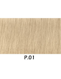 P.01 PCC BE 2017 hair color...