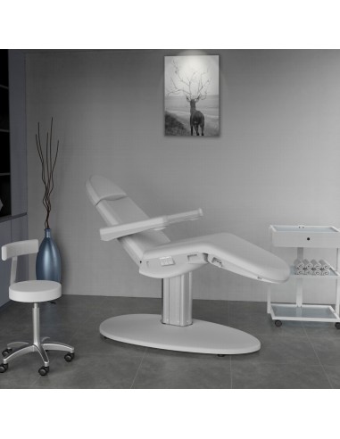 Kosmetologsoffa med 3 motorer Cosmo