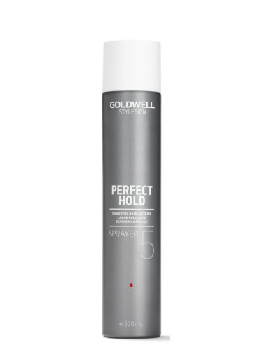 STYLESIGN PERFECT HOLD SPRAYER 500ml