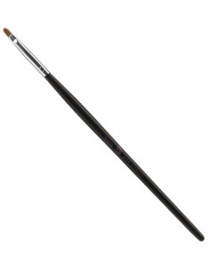 Läppborste, professionell,...