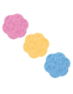 Svamp, cellulosa, blomma,...