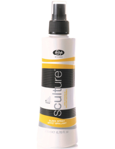 Sculture spray finishing glans 200 ml