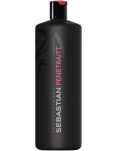 Sebastian Professional Penetraitt...
