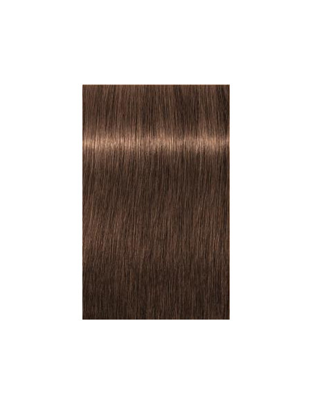 IGORA ROYAL Absolutes 6-60 tumši blonds šokolādes dabiskais tonis 60ml