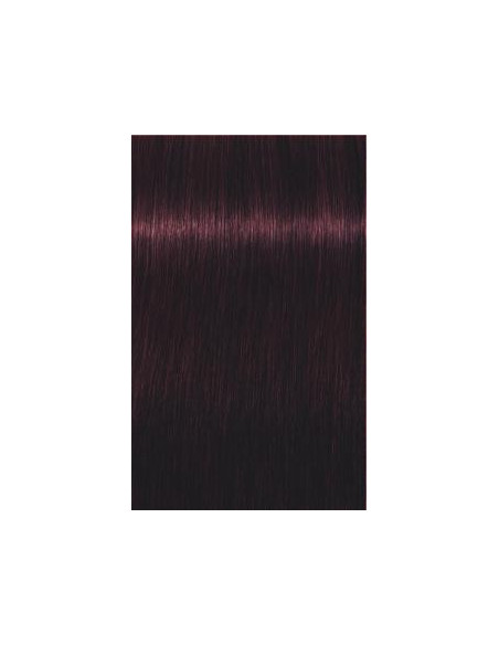 IGORA ROYAL 4-99 vidēji brūns violetais ekstra tonis 60ml