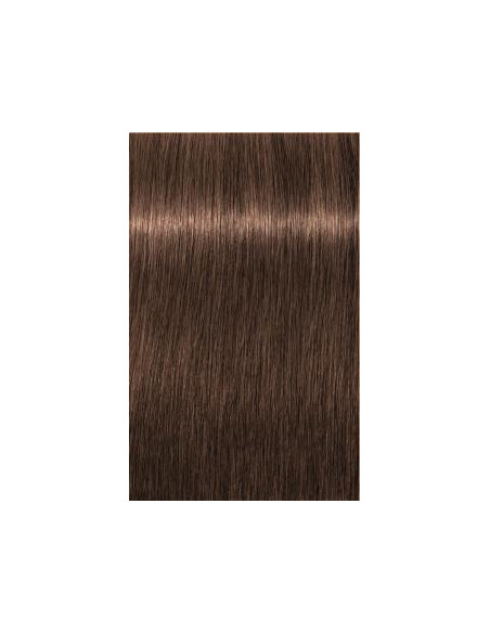 IGORA ROYAL 6-6 tumši blonds šokolādes tonis 60ml