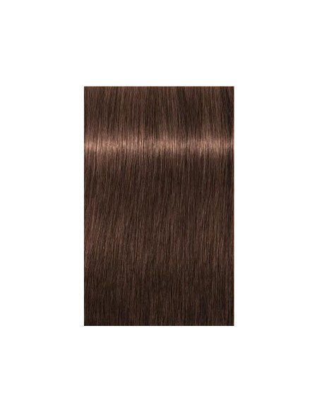 IGORA ROYAL 6-68 tumši blonds sarkanas šokolādes tonis 60ml