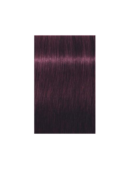IGORA ROYAL 6-99 tumši blonds violetais ekstra tonis 60ml