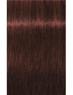 IGORA ROYAL Absolutes 5-80...