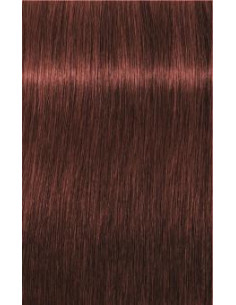 IGORA ROYAL Absolutes 6-80...