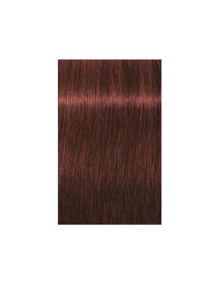 IGORA ROYAL Absolutes 6-80 tumši blonds sarkanais dabiskais tonis 60ml