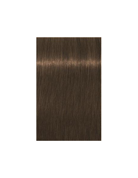 IGORA ROYAL Absolutes 7-140 60ml