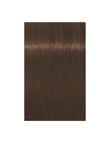 IGORA ROYAL Absolutes 7-460 60ml