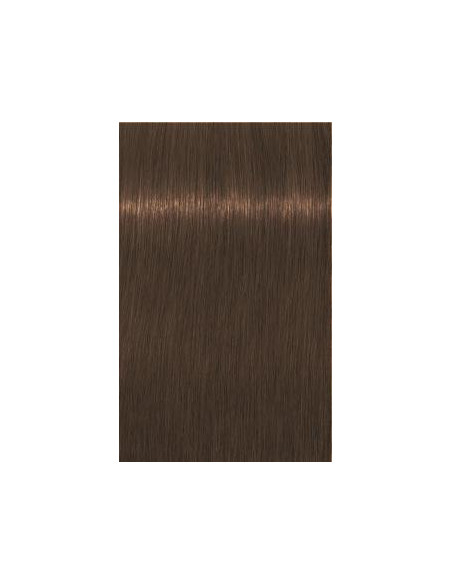 IGORA ROYAL Absolutes 7-460 60ml