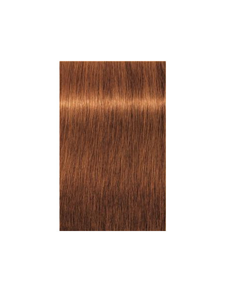 IGORA ROYAL Absolutes 7-70 vidēji blonds vara dabiskais tonis 60ml