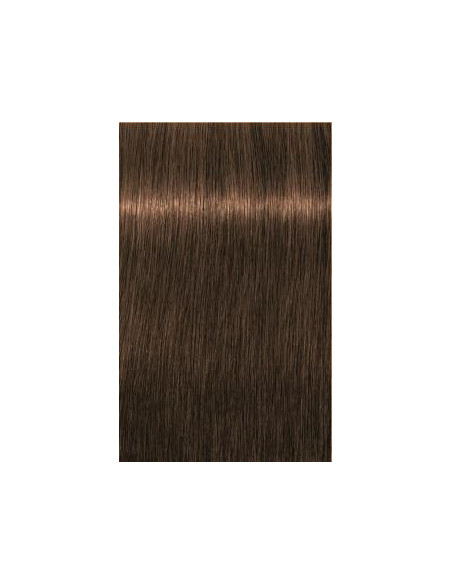 IGORA ROYAL Absolutes 8-60 gaiši blonds šokolādes dabiskais tonis 60ml