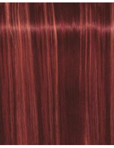 IGORA ROYAL Fashion Lights...