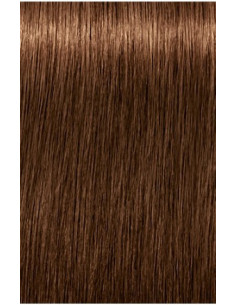 IGORA ROYAL Absolutes 6-460...