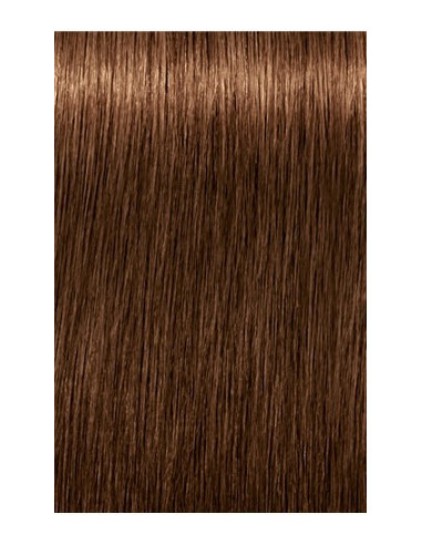 IGORA ROYAL Absolutes 6-460...