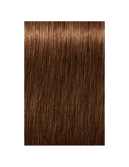 IGORA ROYAL Absolutes 6-460 permanenta krāsa sirmu matu krāsošanai 60ml