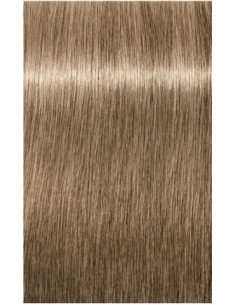 IGORA ROYAL Absolutes 8-01...