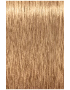 IGORA ROYAL Absolutes 9-560...