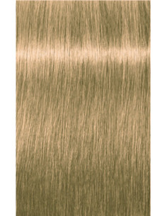 INDOLA Blonde EXPERT...