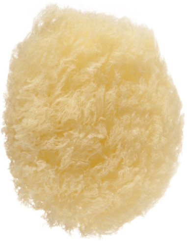 Svamp, naturfärgad, oval form 1 st.