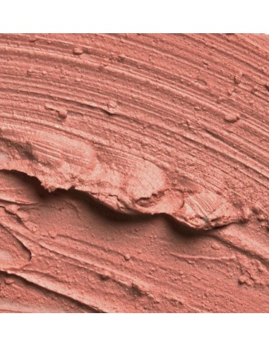 SLA PARIS Pro läppstift - Nude Rosa