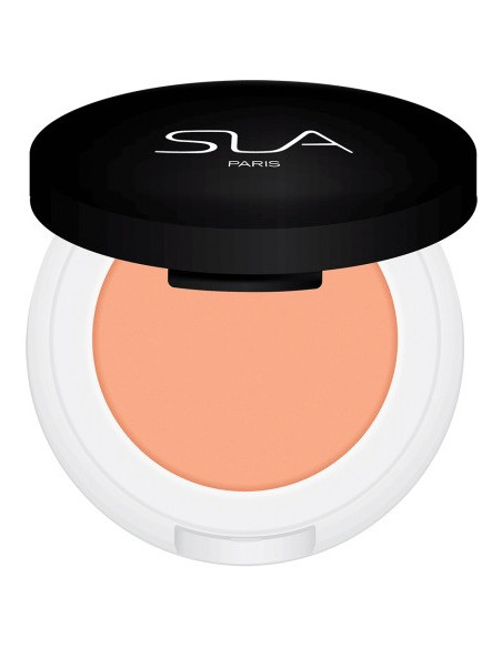 SLA PARIS CAKE CORRECTOR APRICOT – Concealer med apelsinpigment 3,5 g