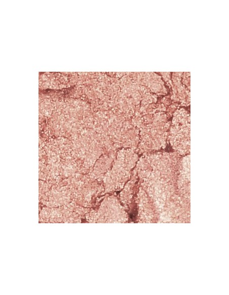 SLA PARIS Rosa rouge i kinden puderrosa - Wild Land Cheek rouge 6,5 g