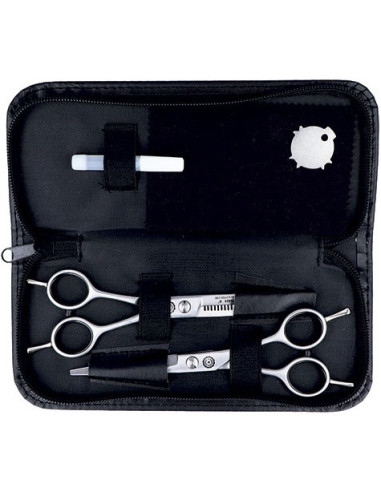Set med professionella hårklippsaxar...