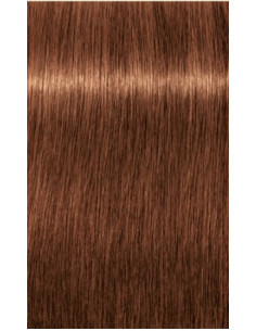 IGORA ROYAL permanentā matu...