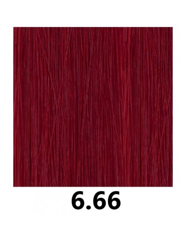FÄRGSLITAGE 6.66i