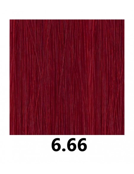 FÄRGSLITAGE 6.66i