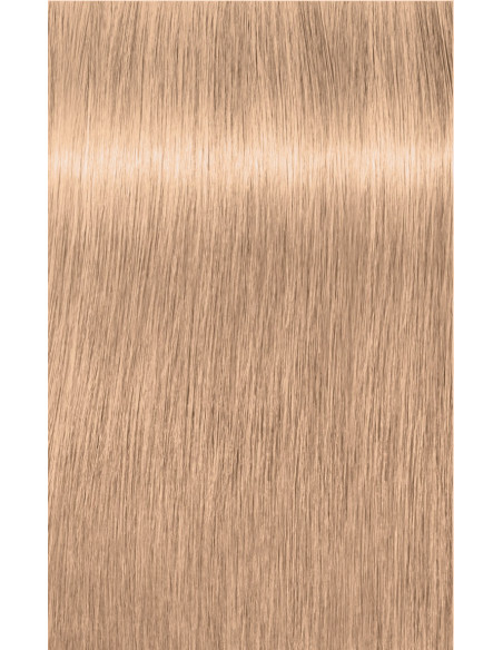 IR HL 10-19 matu krāsa 60ml