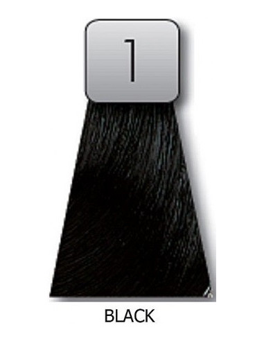 BLÄCKFÄRG 1 60ml