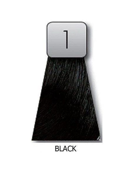 BLÄCKFÄRG 1 60ml